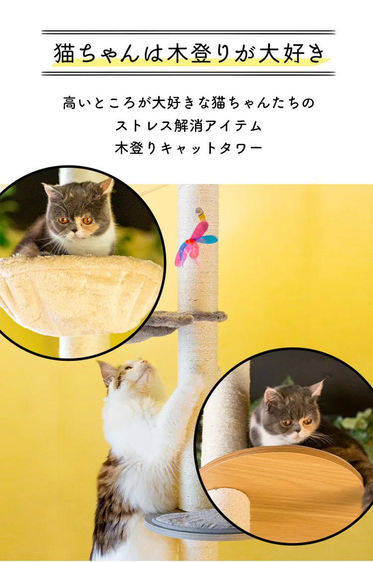 木登りキャットタワー KCCT‐244 全2色1