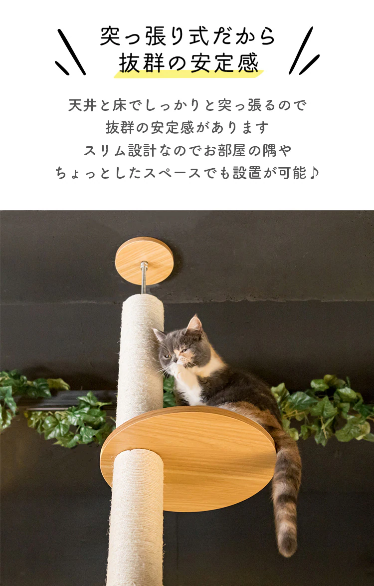 木登りキャットタワー KCCT‐244 全2色3