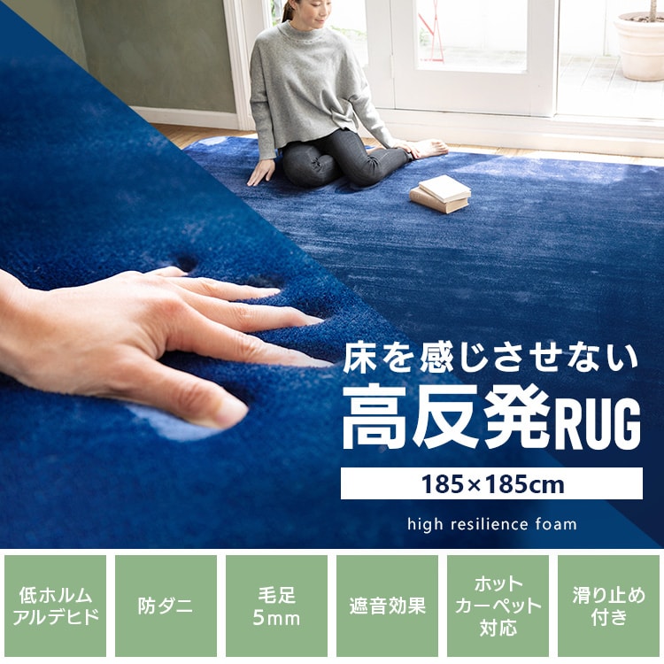 在庫あり】 ネイビー すべり止め 高反発 アイリスプラザ カーペット 200×250cm オールシーズン ラグ