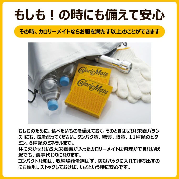 【30箱】大塚製薬  カロリーメイトブロック 4本入 チーズ味2