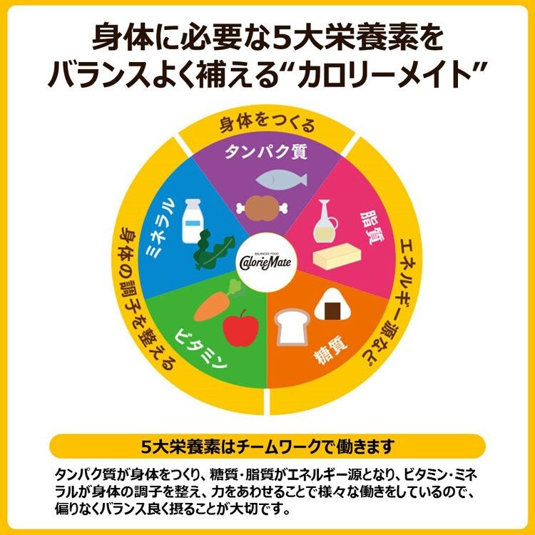 【30箱】大塚製薬  カロリーメイトブロック 4本入 チーズ味3