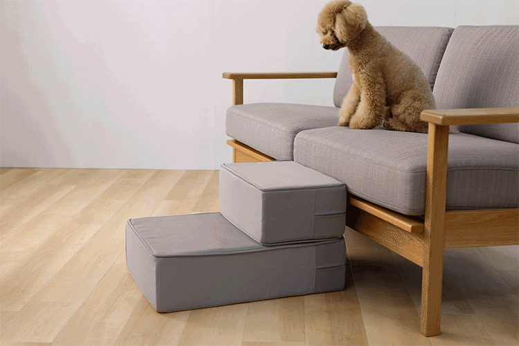 ドッグステップ ベージュ2