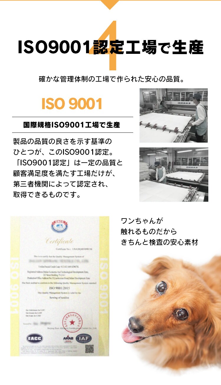 ドッグステップ ベージュ7