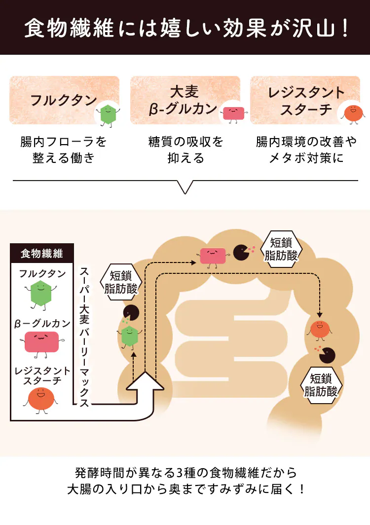 【単品】そのままたべられるバーリーマックスフレーク200g 【代引き不可】2