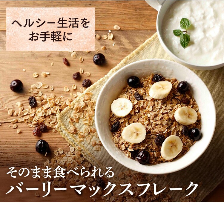 【単品】そのままたべられるバーリーマックスフレーク200g 【代引き不可】4