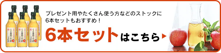 【6本】 りんご酢 内堀醸造 美濃有機純りんご酢 360ml 6