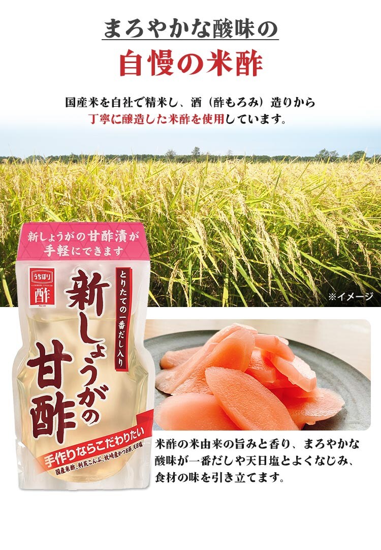 新しょうがの甘酢 内堀醸造 400ml  3