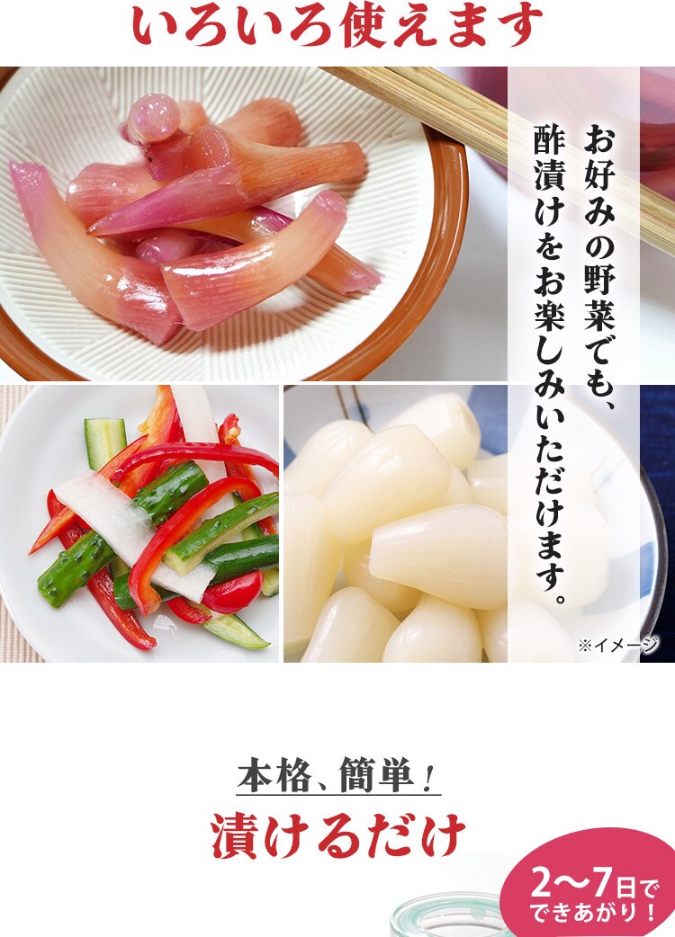 新しょうがの甘酢 内堀醸造 400ml  4