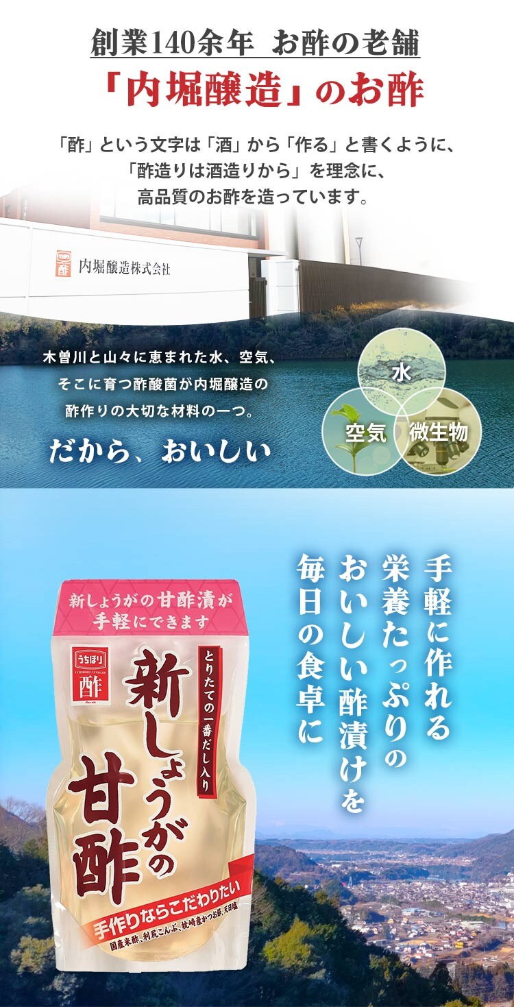 新しょうがの甘酢 内堀醸造 400ml  6