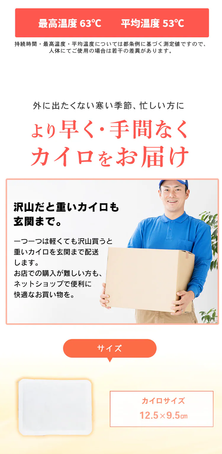 貼るカイロ レギュラー2