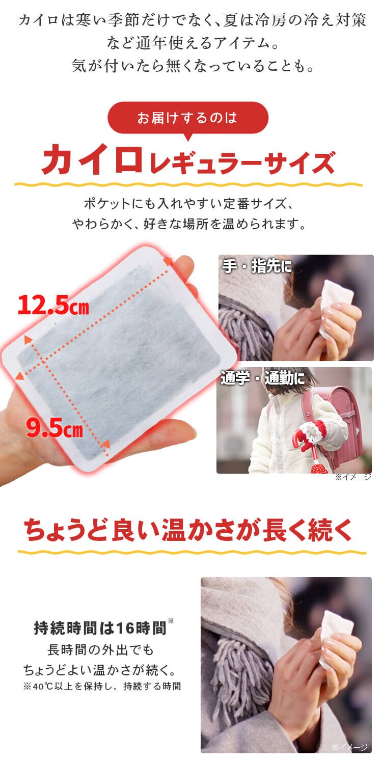 【10枚】カイロ 貼らない レギュラーサイズ 10枚入1