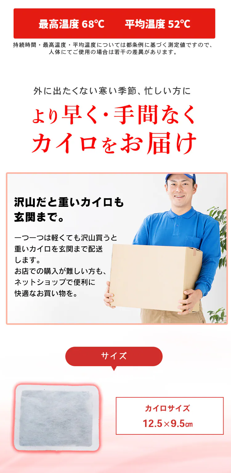 【60枚】 カイロ 貼れない レギュラーサイズ2
