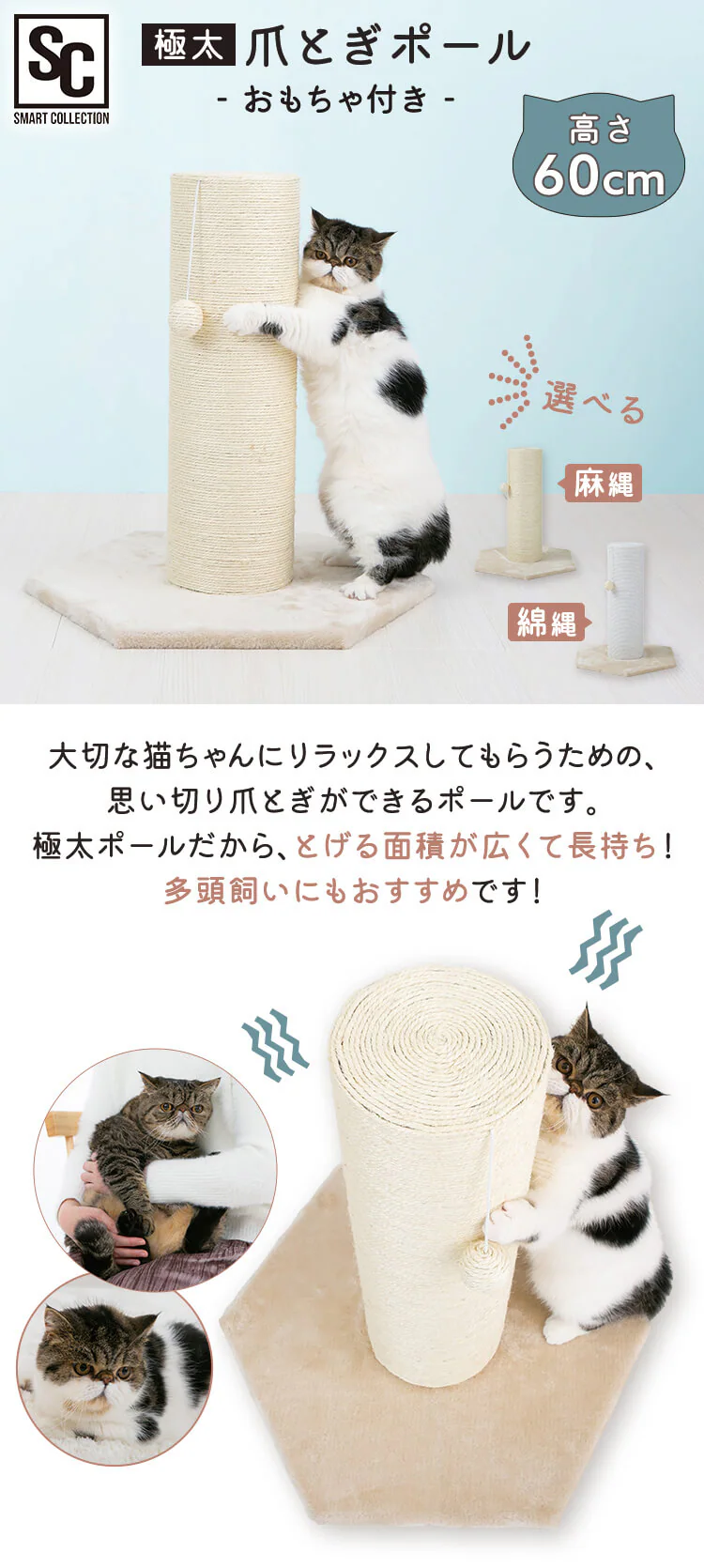 爪とぎポール 高さ60cm CSPH-6062 全2種0