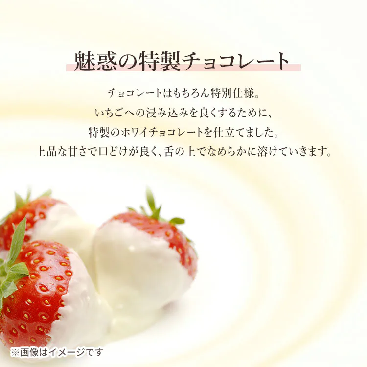 【メール便】【2個】 含浸チョコ ストロベリー90g 【代引き不可】6