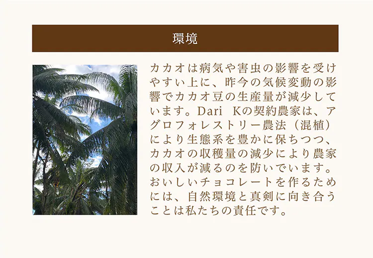 カカオサンドクッキー 6枚入り 全2種【プラザセレクト】【代引き不可】5