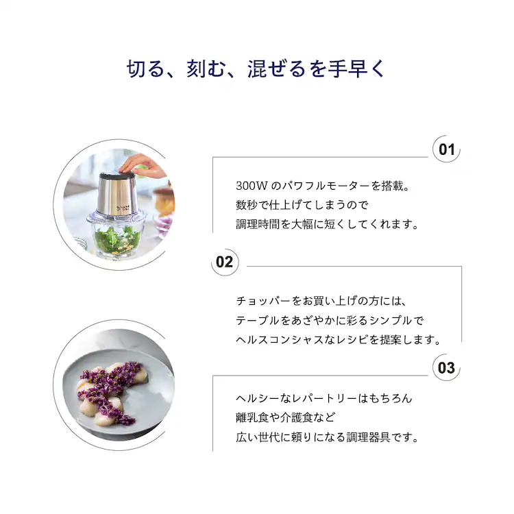 フードプロセッサー ラッセルホブス Russell Hobbs 300W 500ml 7820JP 2