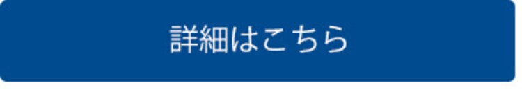 エコバックス ロボット掃除機 DEEBOT T9+ 吸引 水拭き dlx13−54 ホワイト 9