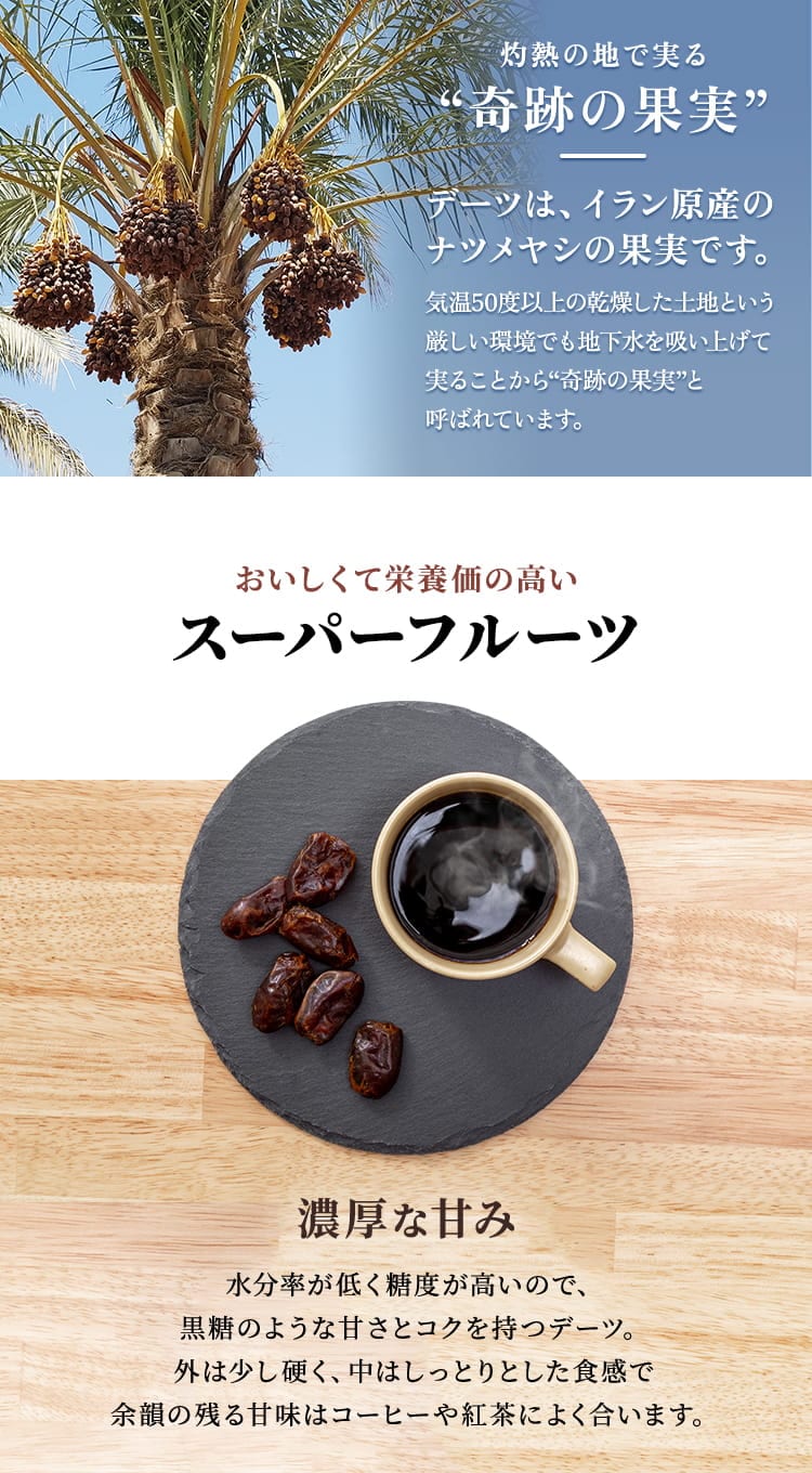 種抜きデーツ 750g 【代引き不可】1