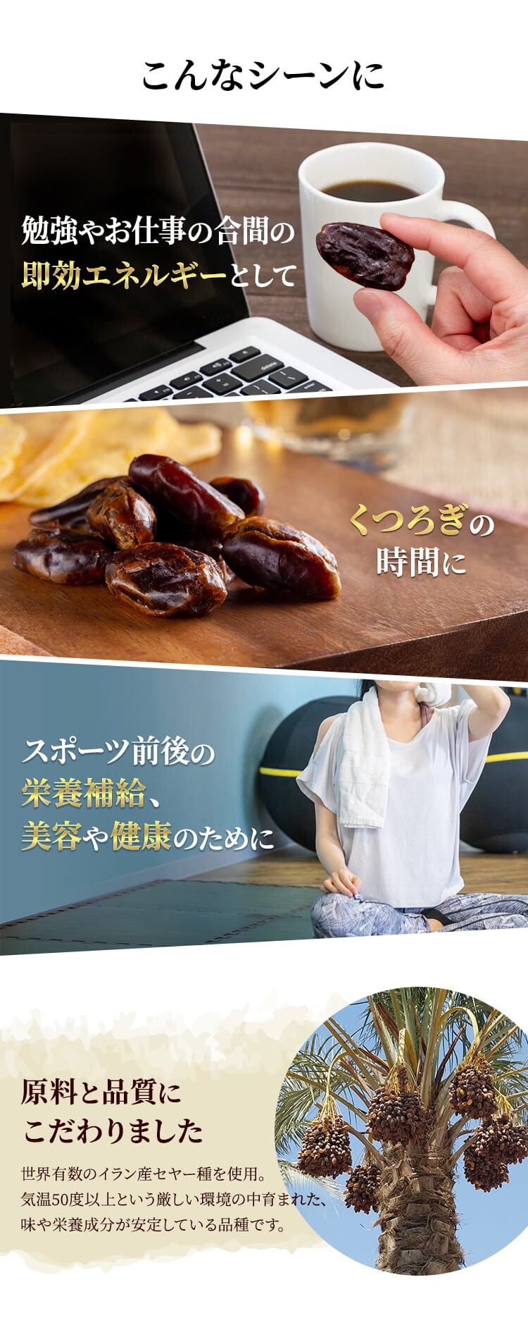 種抜きデーツ 750g 【代引き不可】3