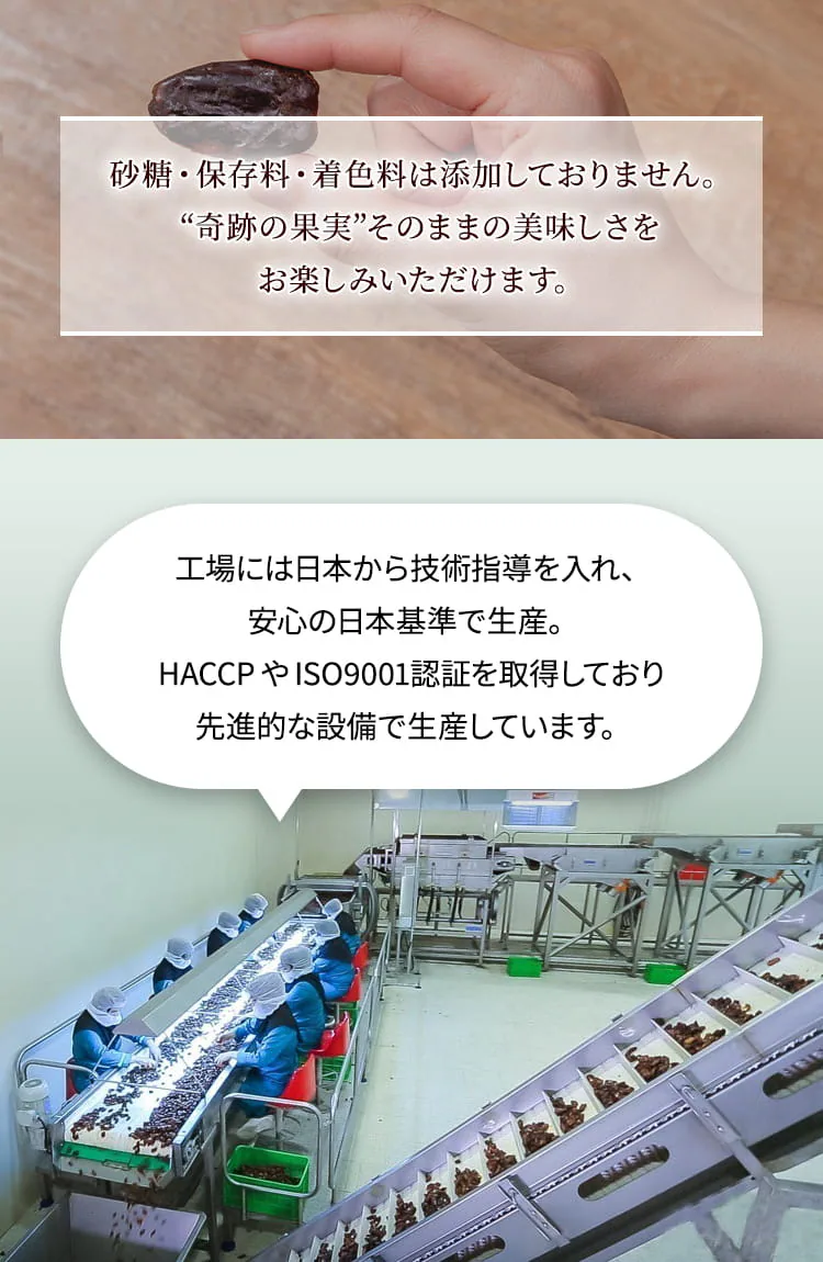 種抜きデーツ 750g 【代引き不可】4