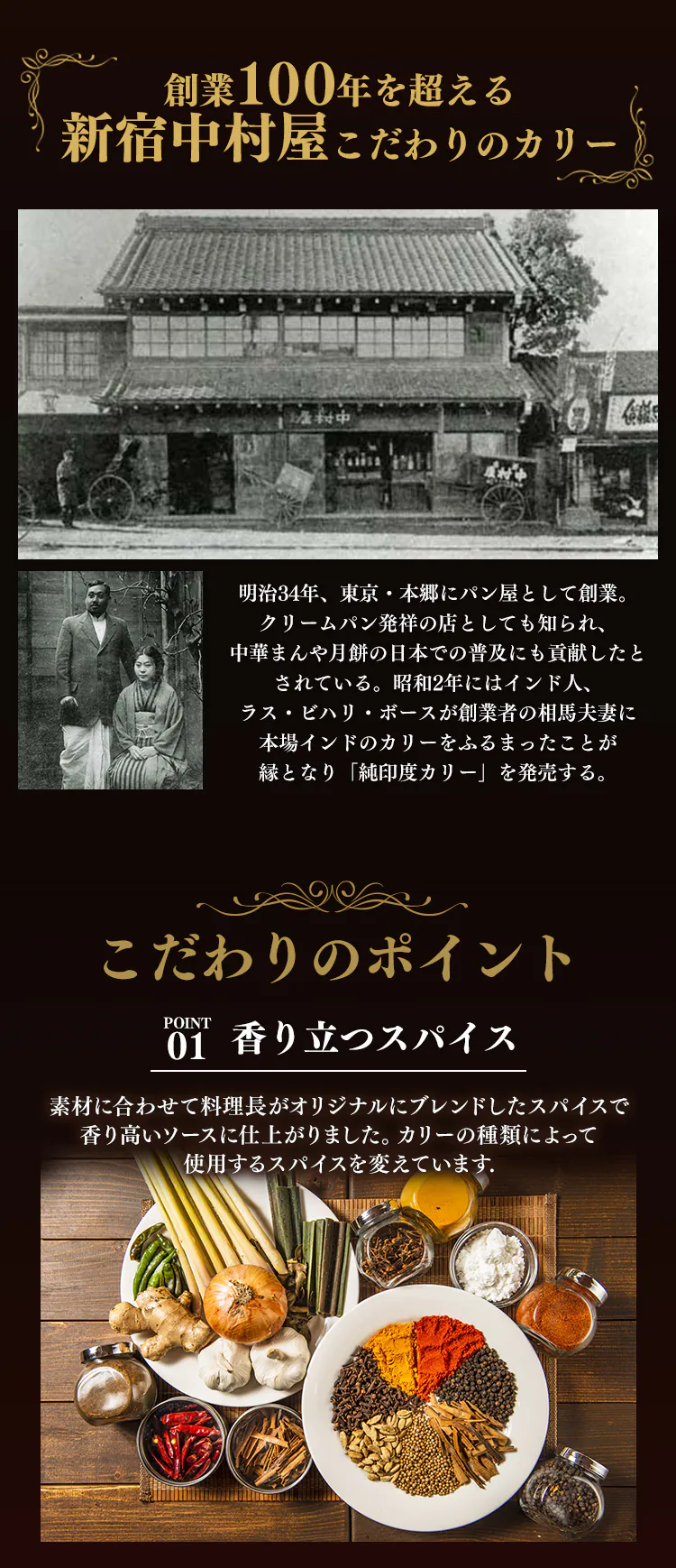 【120g×同種5個】新宿中村屋 純欧風ビーフカリー クリーミーなコクの濃厚リッチ【プラザマーケット】2