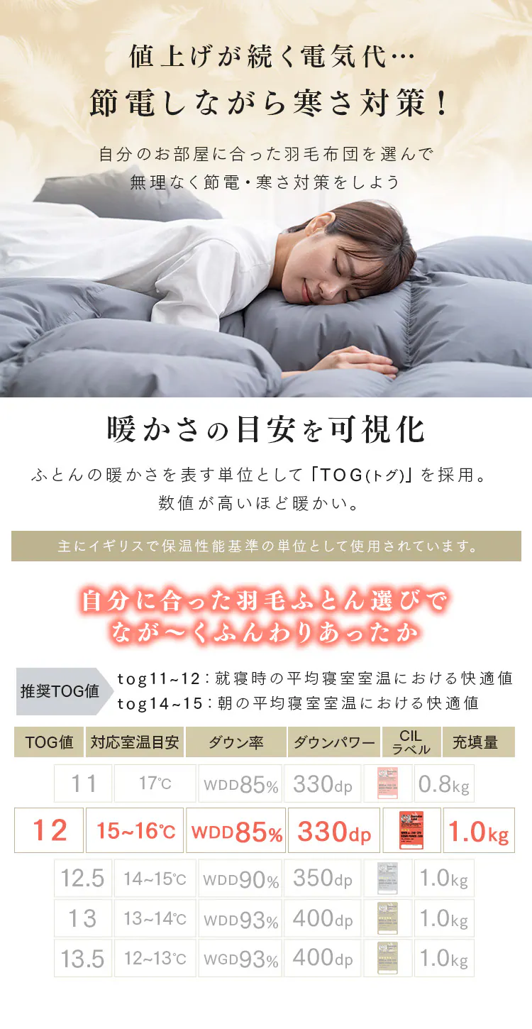 羽毛布団 シングルロング WDD85% 300dp 1.0kg ベージュ3