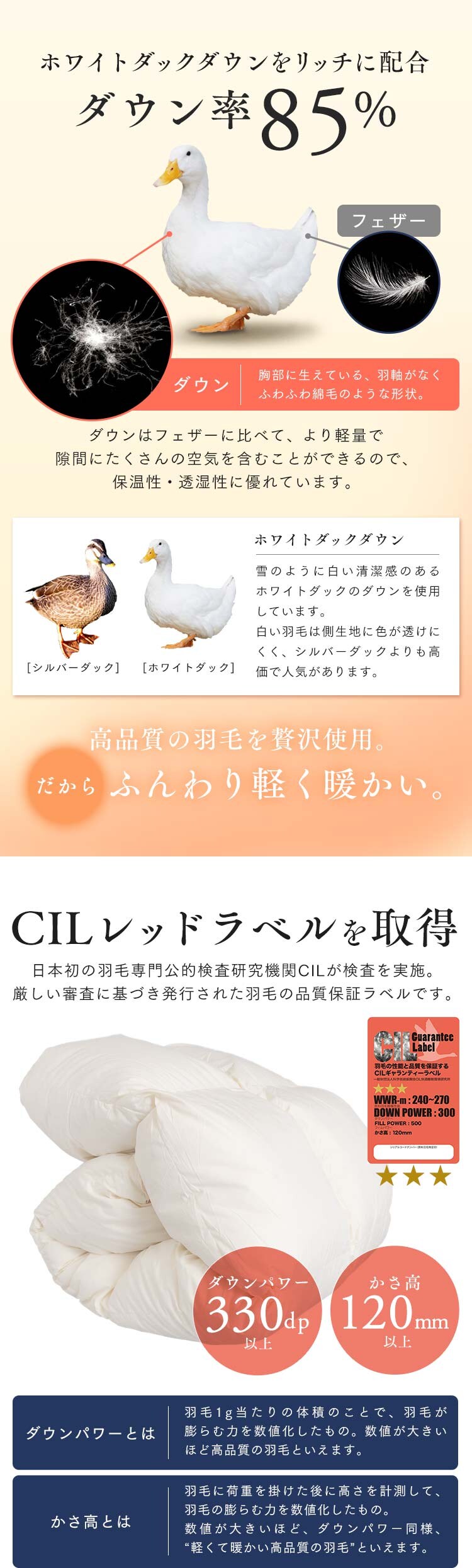 羽毛布団 シングルロング WDD85% 300dp 1.0kg ベージュ4