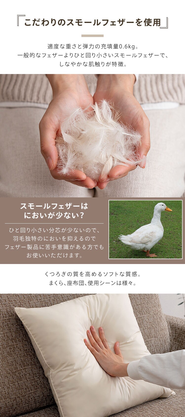 フェザーヌードクッション(2個入) 生成り1