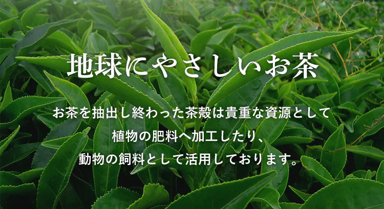 【90本】エルビー 爽やかな香り 緑茶 200ml 【代引き不可】4