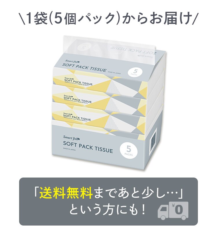 【5パック】 ティッシュ ソフトパック 300枚 (150組) 5パック 2