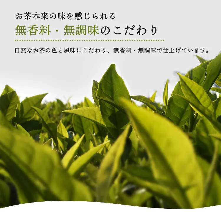 アイリスのお茶  2リットル 緑茶/烏龍茶/ほうじ茶/麦茶/ルイボスティ―【代引き不可】8