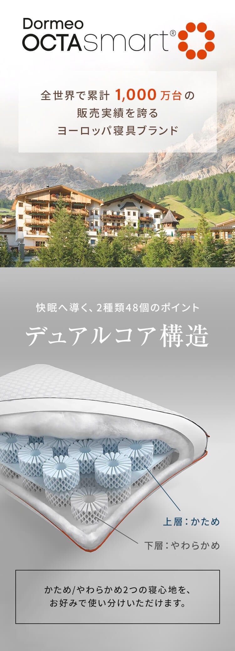 DORMEO デュオ ピロー 1