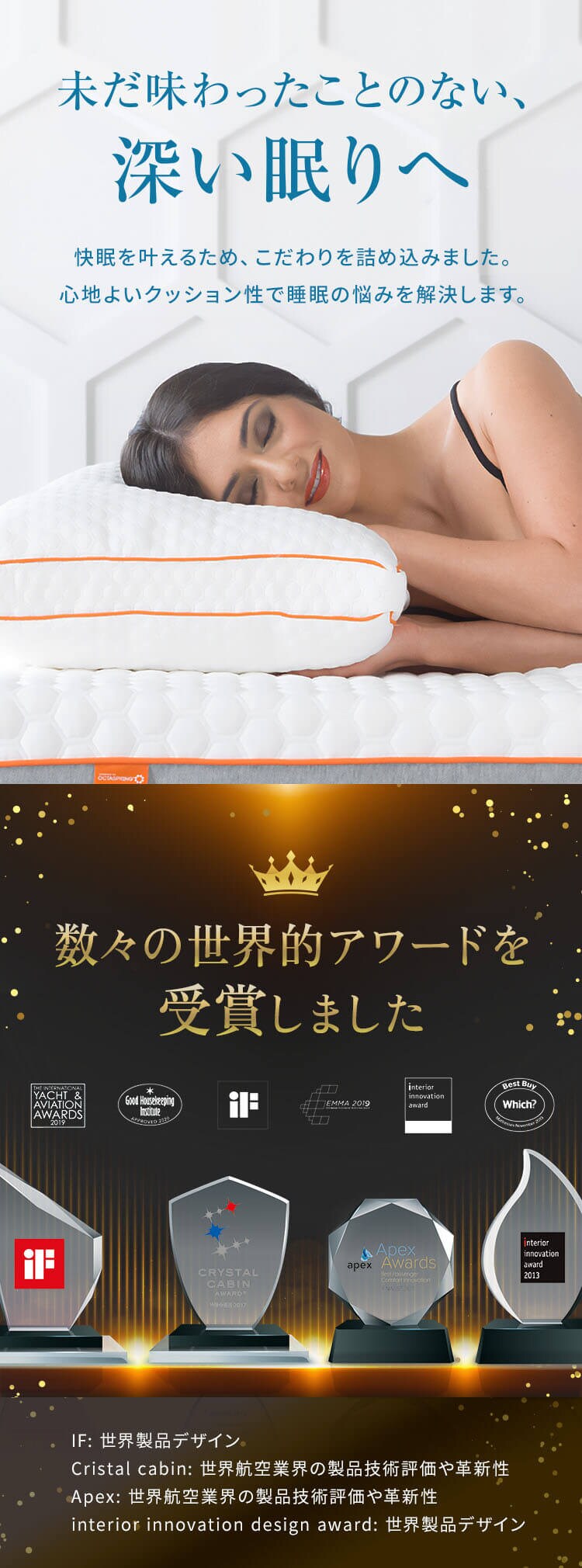 DORMEO デュオ ピロー 2