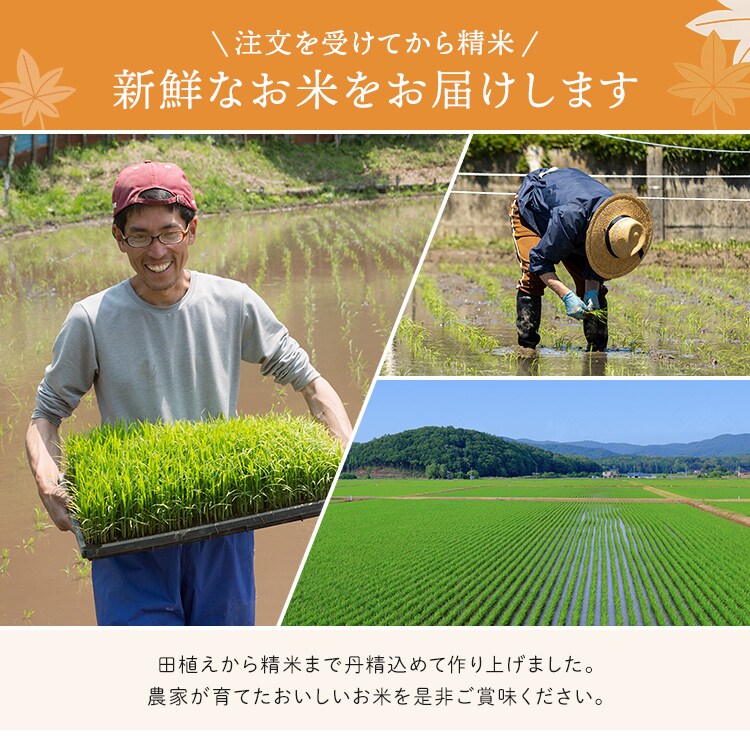 【5kg】宮城県産 つや姫 令和7年産 【時間指定不可】【プラザセレクト】2