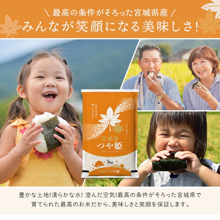 10kg】宮城県産 つや姫 5kg×2 令和7年産 【時間指定不可】【プラザ