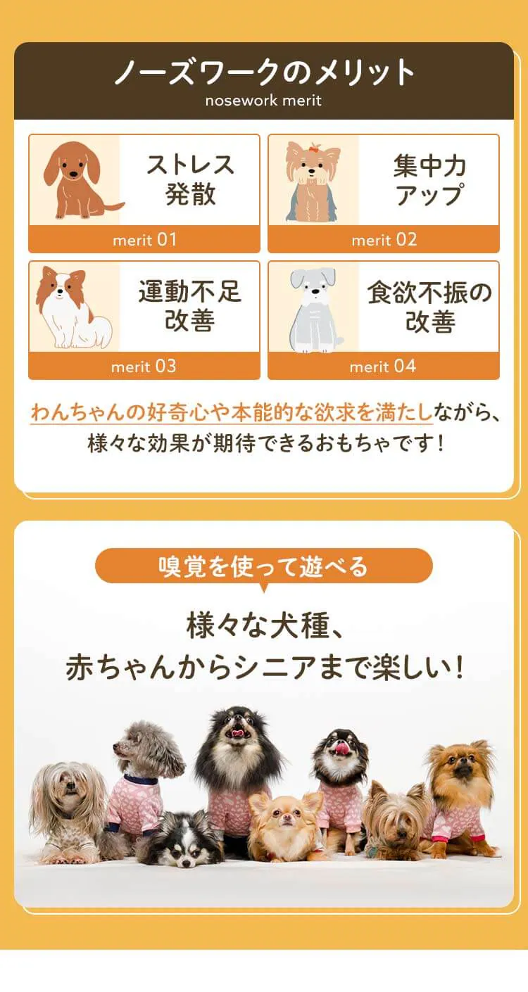 ノーズワーク わんパク!2