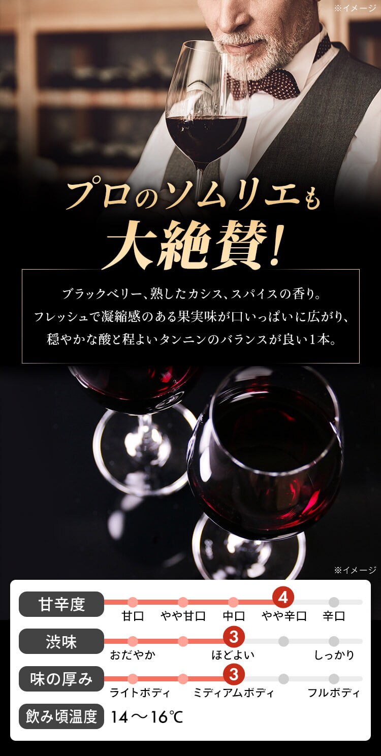 赤ワイン スペイン産 Brvilio 3000ml テンプラリーニョ2
