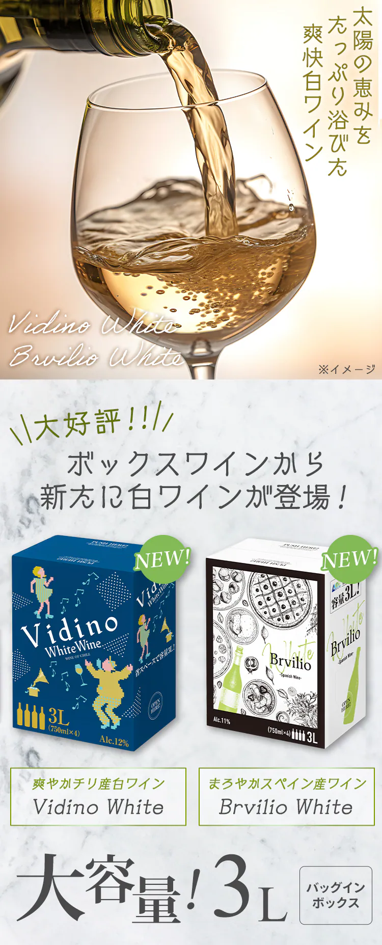 白ワイン 3000ml BIB0