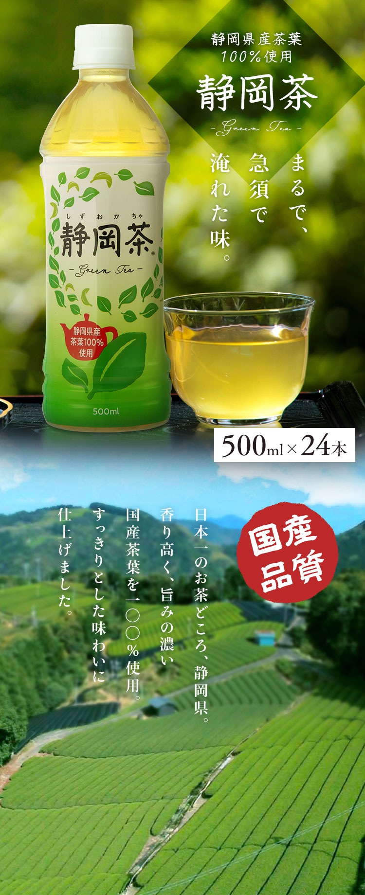 【24本】 ミツウロコビバレッジ 静岡茶 緑茶 500ml 【代引き不可】0