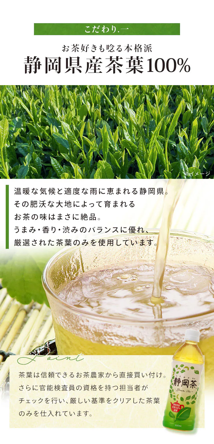 【24本】 ミツウロコビバレッジ 静岡茶 緑茶 500ml 【代引き不可】1