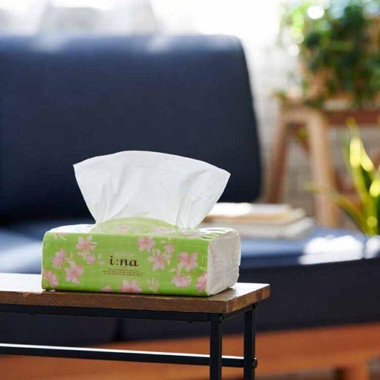 ≪10％OFF≫【60パック】 ソフトパックティッシュ 6パック×10 エリエール イーナ4