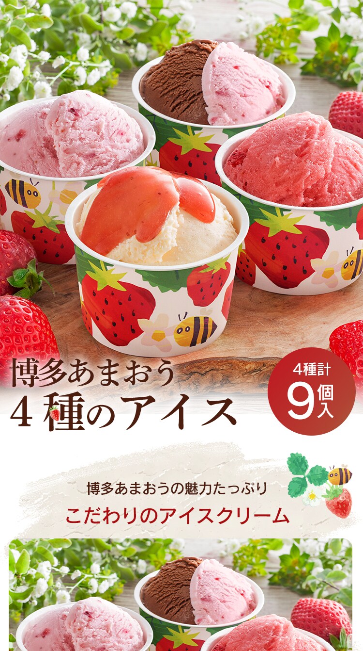 博多あまおうのこだわりアイス AH-AB 【代引き不可】0