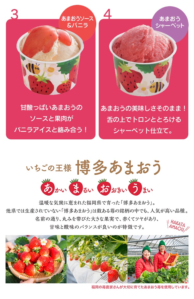 博多あまおうのこだわりアイス AH-AB 【代引き不可】2