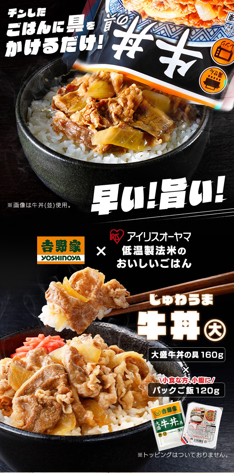 吉野家 冷凍牛丼の具 大盛 160g 30食セット パックご飯 120g×40パック【代引き不可】0