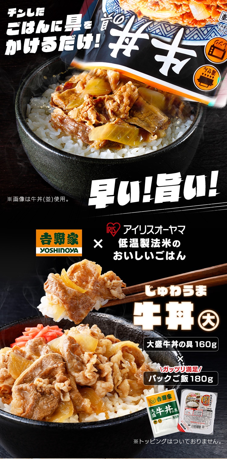 吉野家 冷凍牛丼の具 大盛 160g 30食セット パックご飯 180g×40