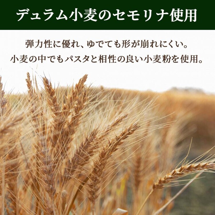 Durumuパスタ 500g×20袋 【プラザセレクト】1