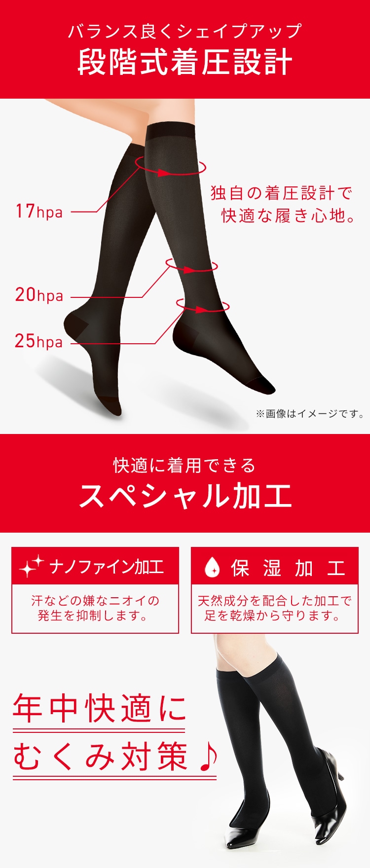 【アウトレットSALE】着圧コットンハイソックス(2足組) ブラック MP-HS1032 S1