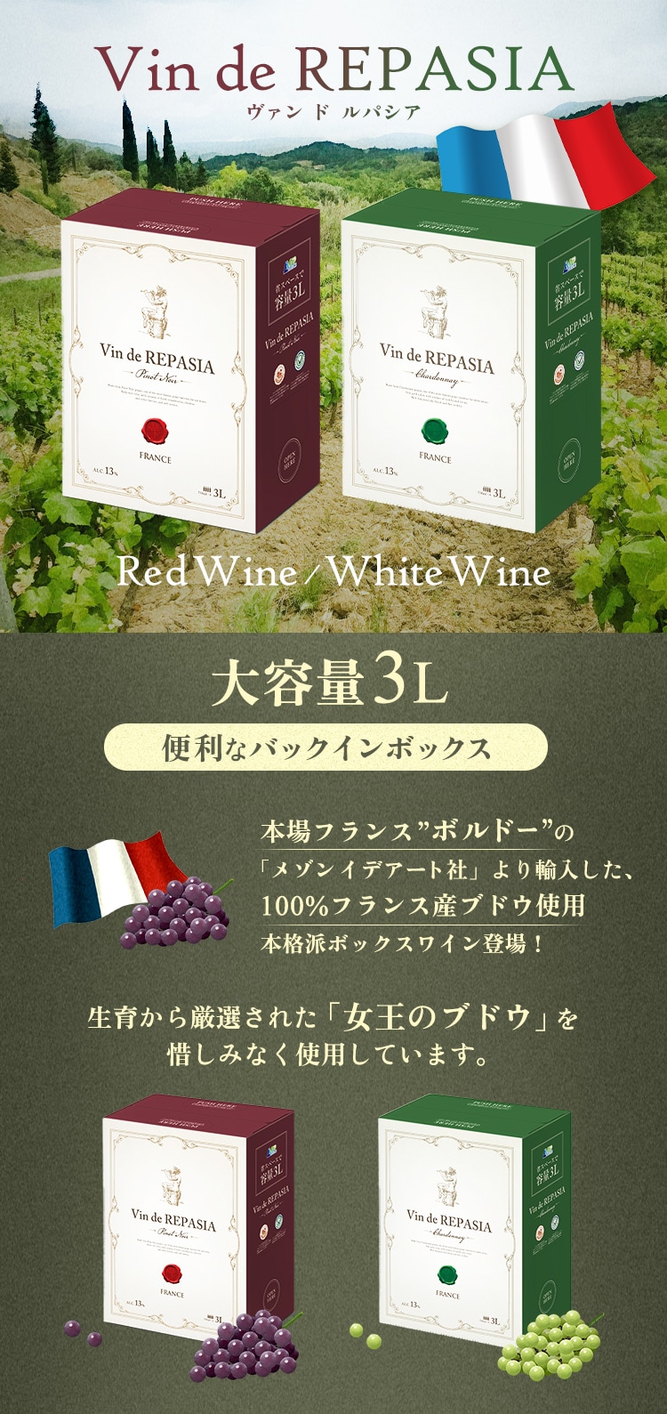 【訳あり】Vin de REPASIA Rouge フランス赤ワイン×2&白ワイン×2セット3L BIB 0
