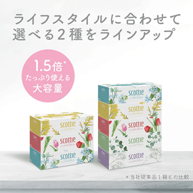 ティッシュ フラワーボックススコッティ 7