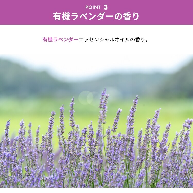 ★4%OFF★【2個セット】 衣類用洗剤 Sonett ナチュラルウォッシュリキッド ラベンダー 2L3